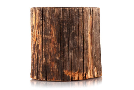 Pruning of a pine log on a white backgroundの写真素材