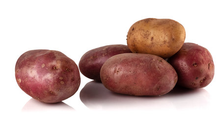 potatoes of different varieties on a white reflective backgroundの写真素材