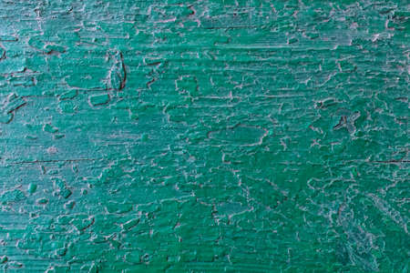 Tree beautiful backgroundの写真素材