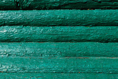 Tree beautiful backgroundの写真素材