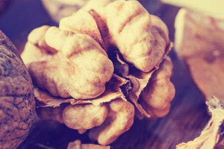 walnutsの写真素材