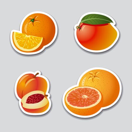 fruits stickersのイラスト素材