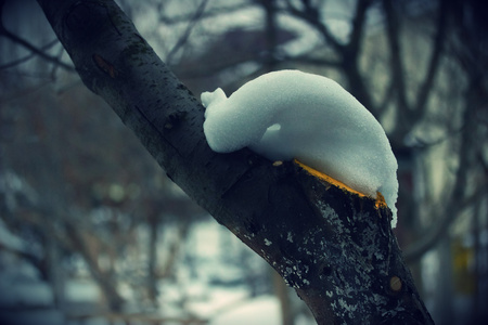 winterの写真素材