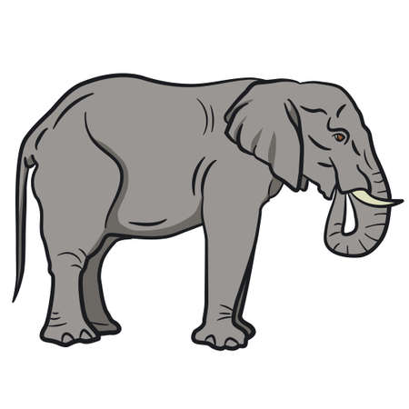 linear illustration of the elephant on the white backgroundのイラスト素材