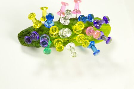 Cucumber with pins of different colorsの写真素材