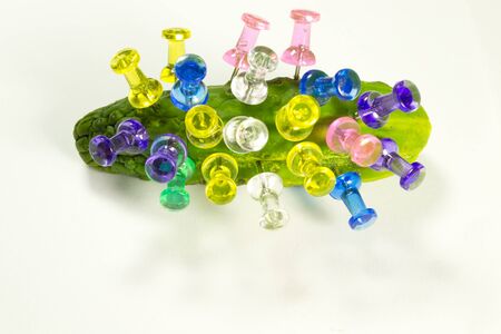 Cucumber with pins of different colorsの写真素材