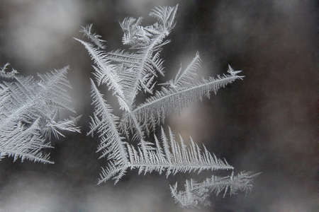 ice patterns on the window