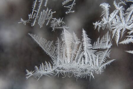 the unusual frost on a winter windowの写真素材