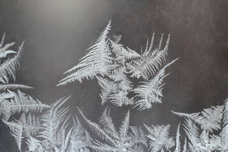 the unusual frost on a winter windowの写真素材
