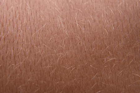 the skin of a young woman closeupの写真素材