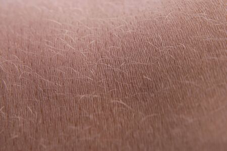 the human skin close upの写真素材