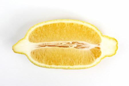 the cut along the lemon on a white backgroundの写真素材