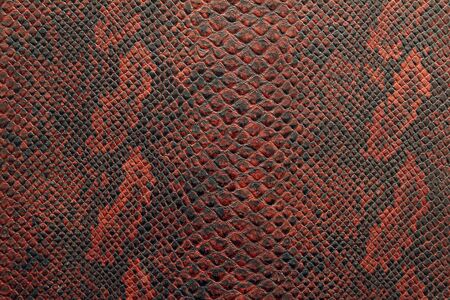the texture of snake skin in black and red shadeの写真素材