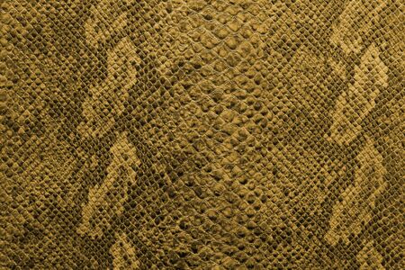 the texture of snake skinの写真素材