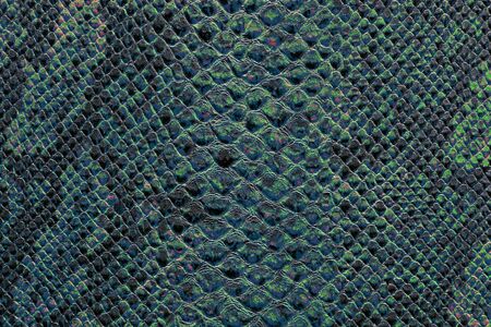 the texture of snake skinの写真素材