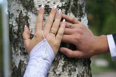 bride and groom show their hands wearing wedding ringsの写真素材
