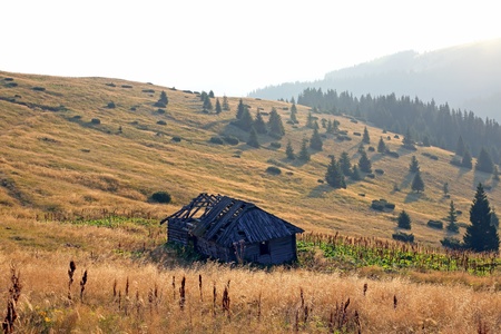 morning landscape on the slopes of the Carpathians. Ukraineの写真素材