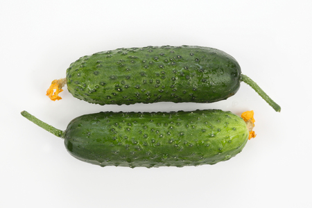 two green cucumber on white backgroundの写真素材