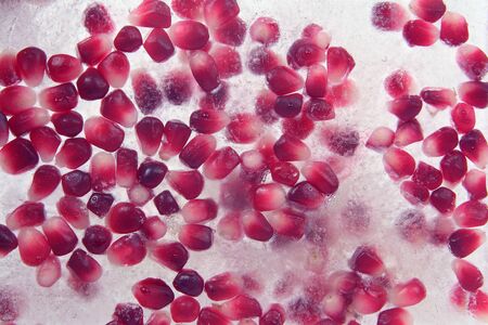 pomegranate seeds frozen in iceの写真素材