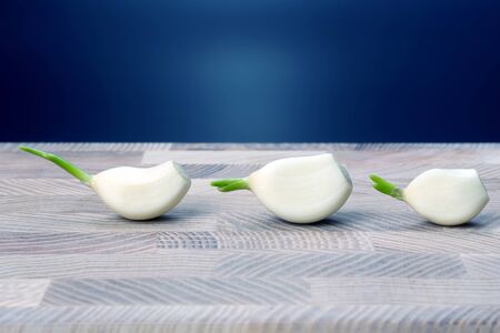 three heads of garlic are on the tree on blue background