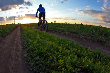 cyclist rides a bicycle on a track at sunsetの写真素材