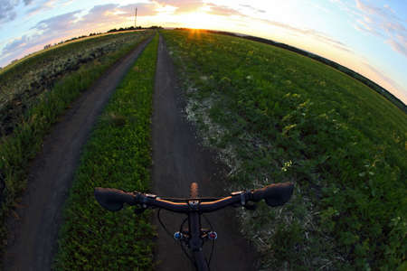 the wheel of the cyclist closeup against the background of a wheat field in sunlightの写真素材
