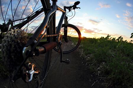 bike close-up on the trail at sunsetの写真素材