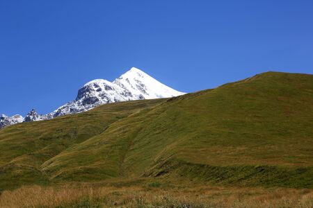 landscape of green grass and snowy mountains