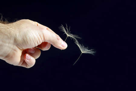 hand with flying seeds of dandelion on dark backgroundの写真素材