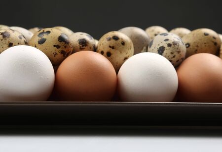 different quail and chicken eggs lie together close-upの写真素材