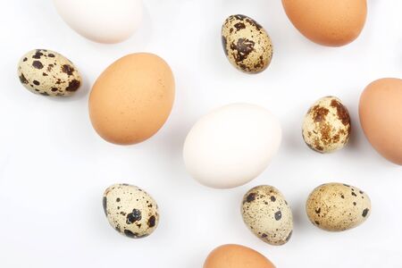 different quail and chicken eggs lie on white backgroundの写真素材