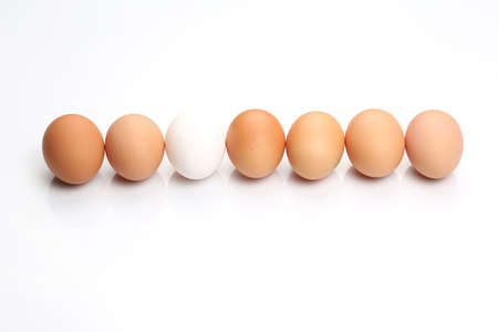 chicken eggs lie in a row on white background
の写真素材