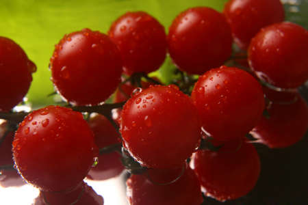 the tomatoes in the water drops on green background