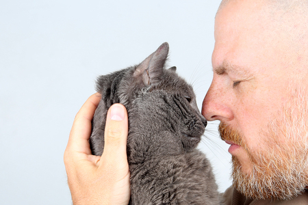 Portrait of a bearded man with a gray catの写真素材
