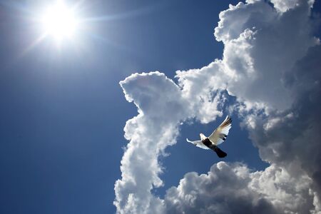 dove flying in the clouds against the sunの写真素材