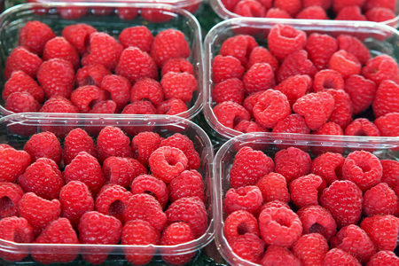 raspberry berry in containers on sale
