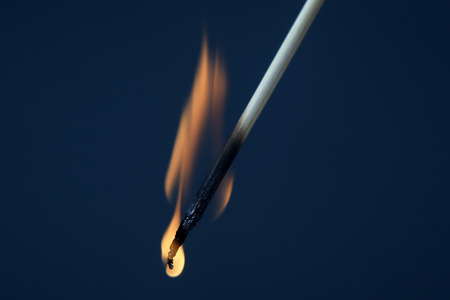 Burning match on a dark blue backgroundの写真素材