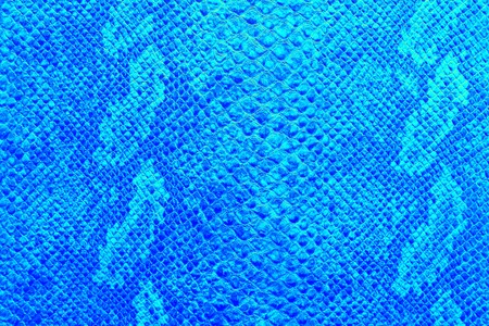 the texture of snake skin in color shade