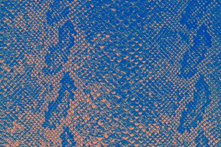the texture of snake skin in color shade