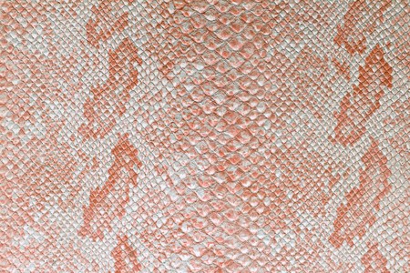 the texture of snake skin in color shade