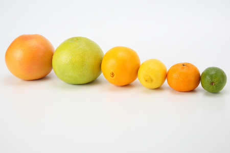 different citrus fruits on white backgroundの写真素材