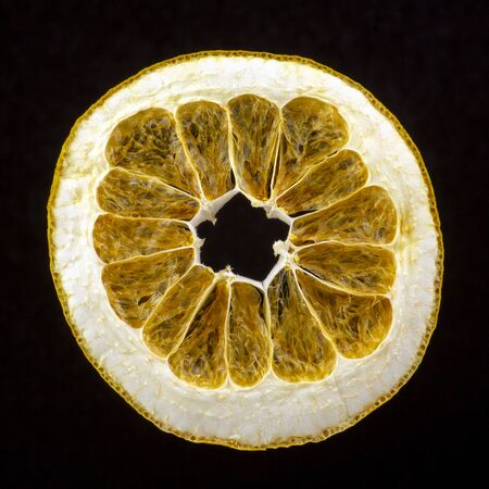 dried grapefruit slice on a dark backgroundの写真素材
