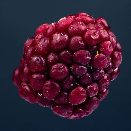Macro photography of blackberries on a dark background. Healthy and vitamin food