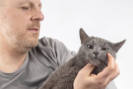 gray cat sitting on the chest of menの写真素材