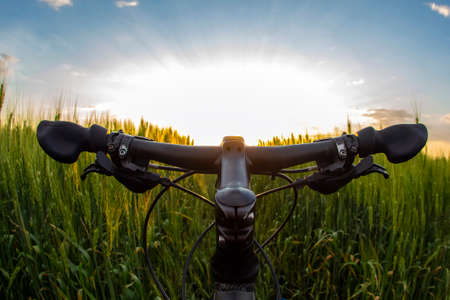 The steering wheel of a bicycle against the background of a green field and a sunny sunset sky. Sports and travel.の写真素材