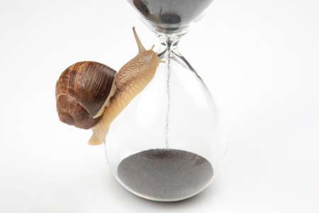 the snail crawls on the hourglass. time and stability. the transience of time and slowness in choosing success. the cyclical nature of lifeの写真素材
