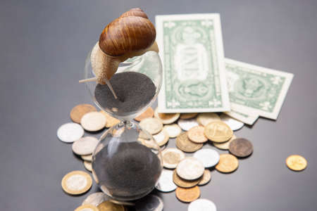 snail crawls on an hourglass against the background of money. speed and stability in increasing...