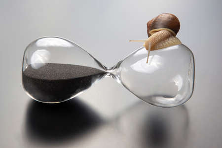 the snail crawls on the hourglass. time and stability. the transience of time and slowness in...