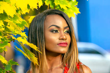 Portrait of beautiful young African girl on autumn leaves background