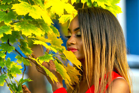 Portrait of beautiful young African girl on autumn leaves backgroundの写真素材
